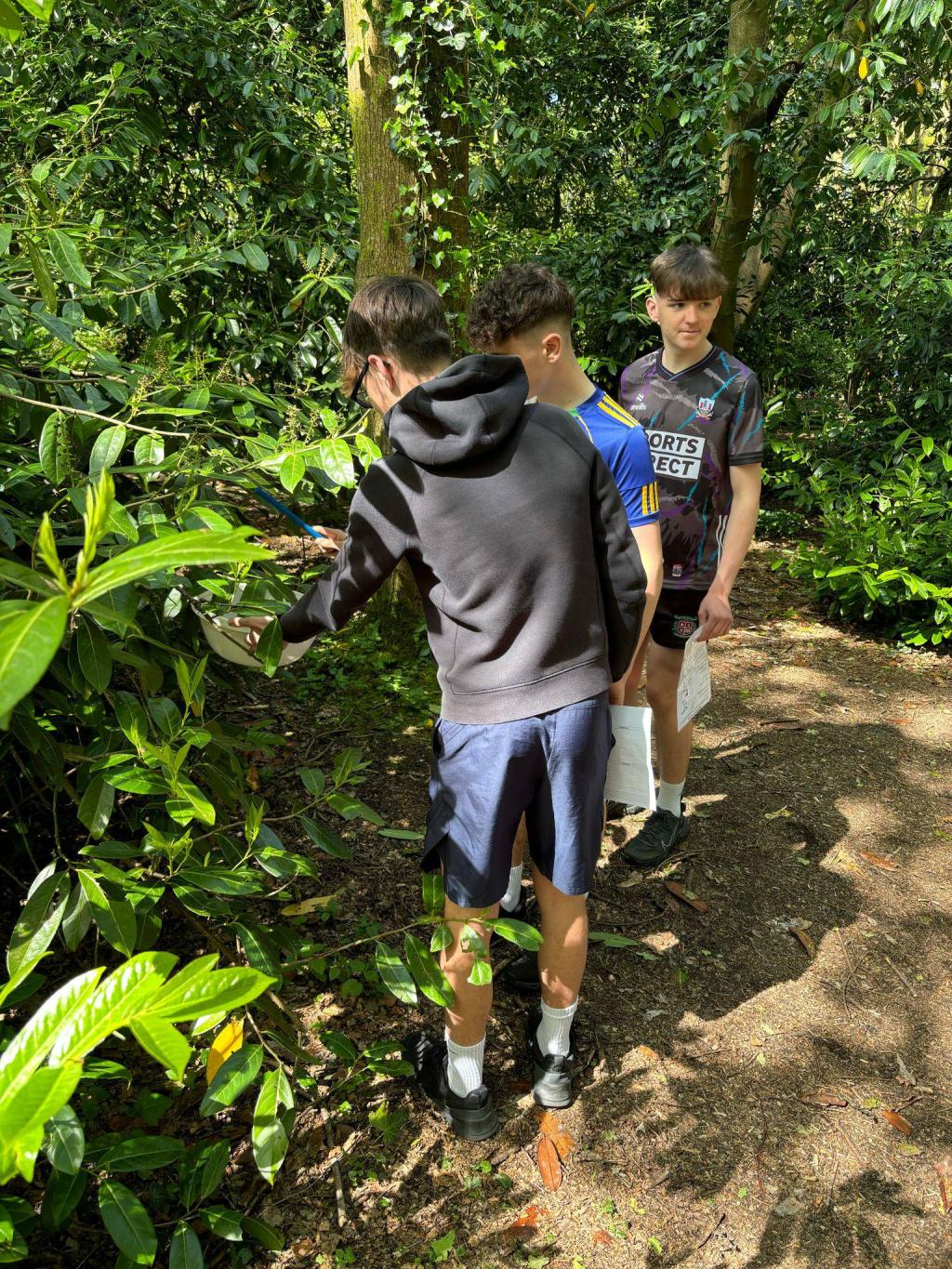 3rd Year Ecology Trip- Pics