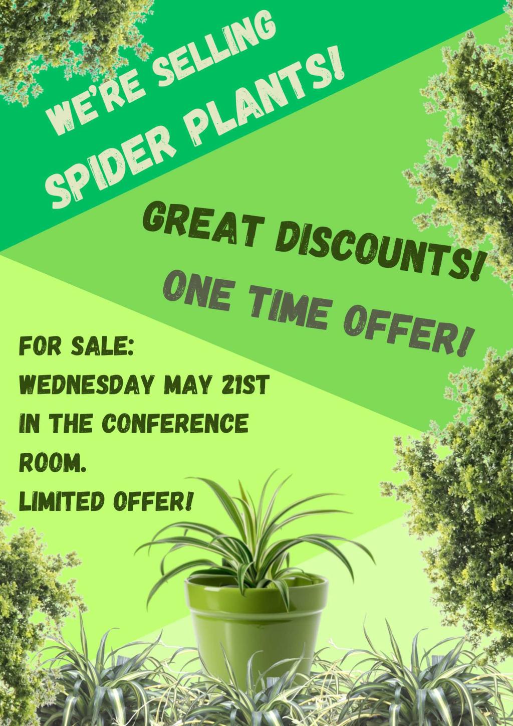 TY Plant Sale