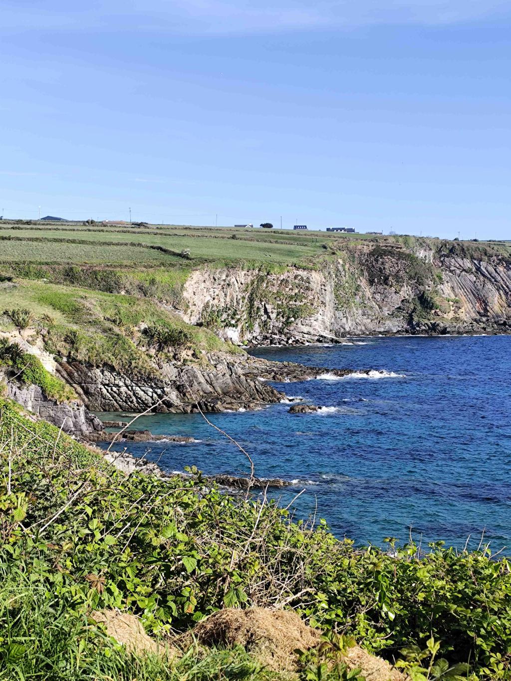 TY trip to West Cork