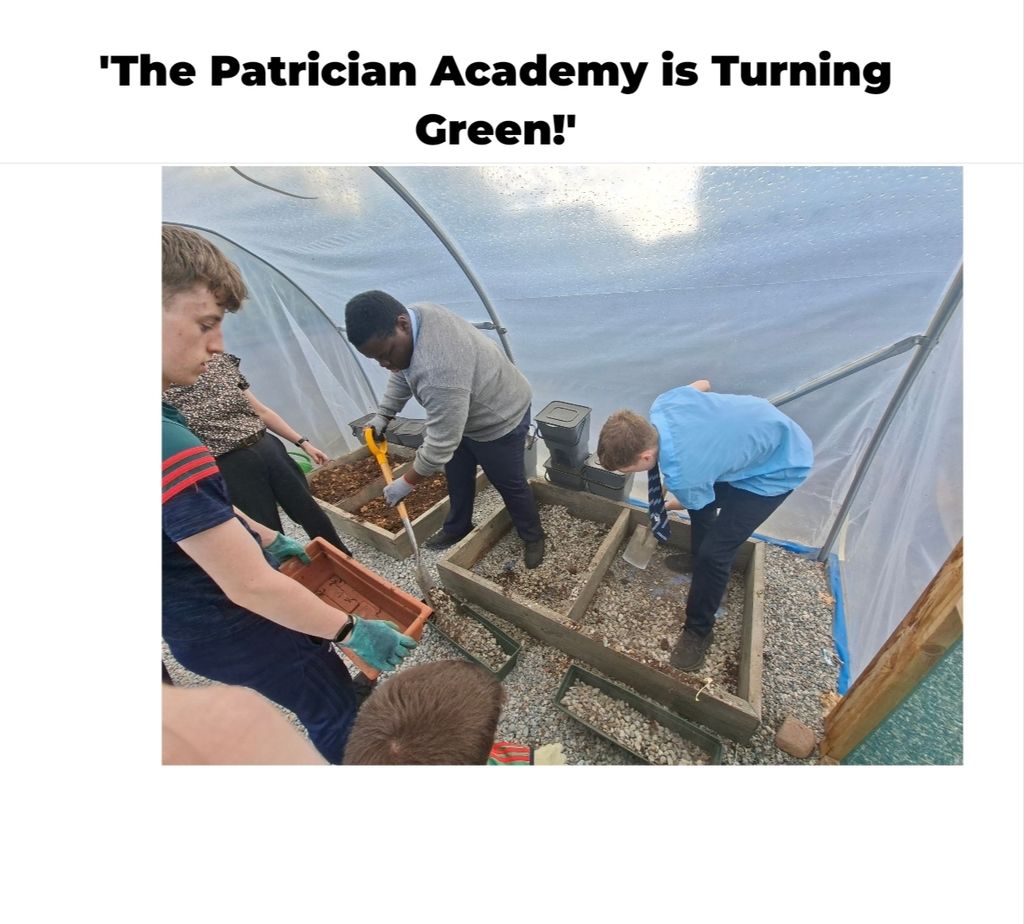 The Patrician Academy is Turning Green
